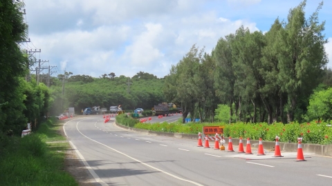 行道樹一修再修還是倒？ 「全國種樹諮詢中心」導正種樹亂象 屏鵝公路成首例