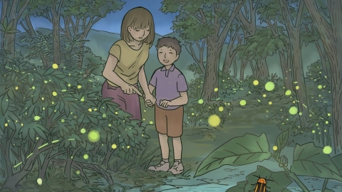 【生物多樣性的美好日常】探訪螢火蟲的家
