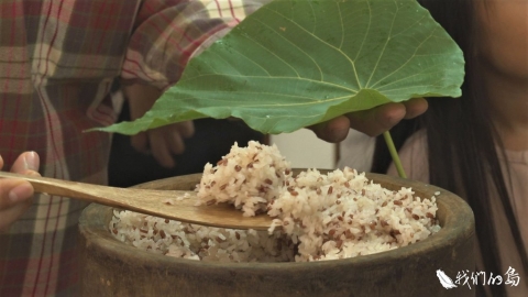 古稻 回家 傳承部落耆老記憶中最好吃的米cilipeday