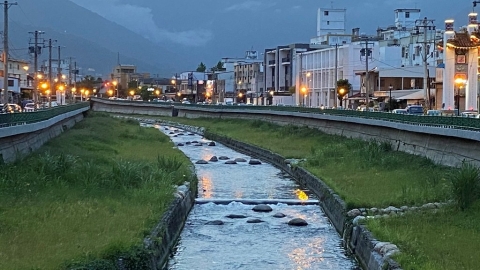 【濕地植物】不驕不縱盤伏行走於溪流上——台灣水龍
