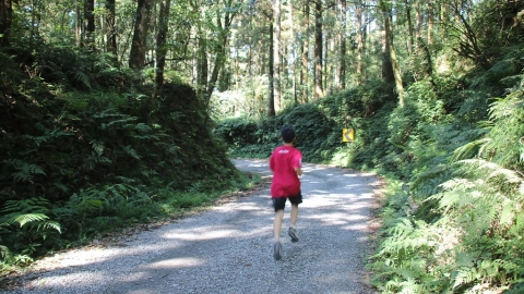 【翻譯米糕】路跑也能算碳足跡！ 台灣首個運動賽事「產品類別規則」如何誕生？