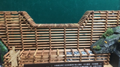 規格材CAS驗證、應用指南加持 國產材進軍建材市場