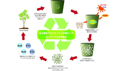 日本廢棄茶葉製成100％可生物分解苗盆 環境永續兼顧文化傳承