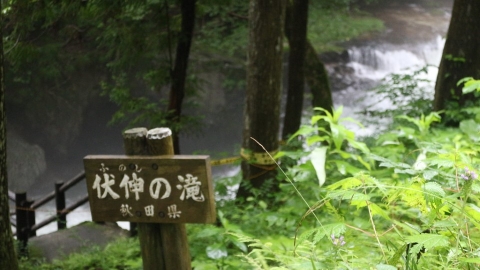 走過一甲子 《里山倡議》蓄積能量再接「30ｘ30」保育挑戰