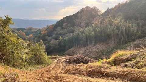 太陽光電 vs. 森林生質能源 山坡林地的綠電抉擇