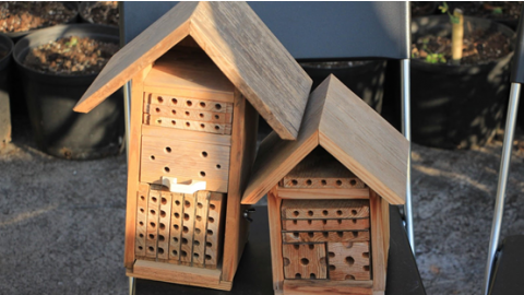 獨居蜂旅館 提供城市裡的獨居蜂棲所
