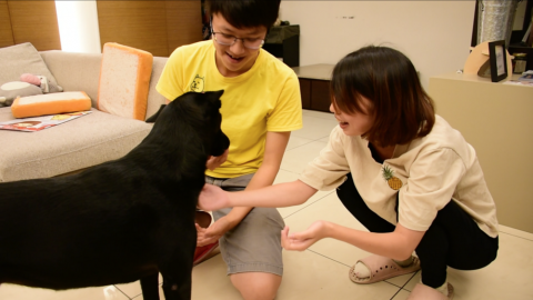 浪犬博士真心話 幫你找到對的牠