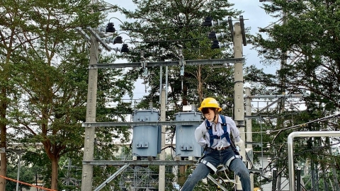 IEA：能源就業人數超過疫情前水準 增長動能來自綠能