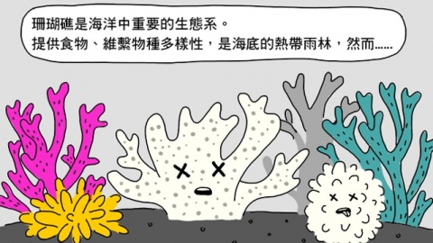 【漫畫說科學】珊瑚精子銀行
