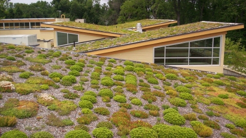  綠屋頂、冷屋頂、太陽能屋頂，哪種屋頂最能降低都市熱島效應？