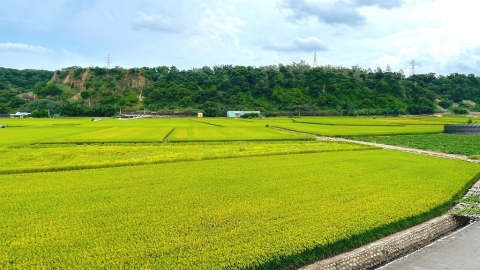 【8年來，生活有什麼不一樣？】人口老化、耕地減少——農業還能吸引青年返鄉種田嗎？
