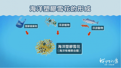 海塑去哪兒 太平洋逾5成海洋垃圾持續漂流