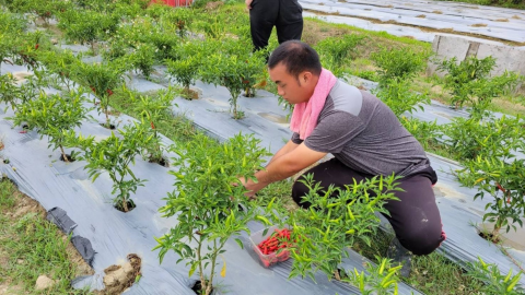 蓮心園 打造慢憨兒友善就業環境