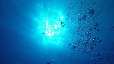 研究：塑膠微粒入海形成「海洋塑膠雪花」 恐危害海洋生態、進入食物鏈