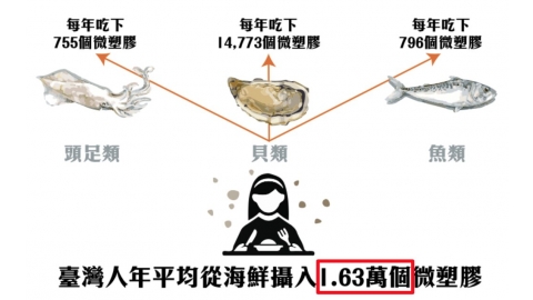 綠色和平揭海鮮「塑據」：台灣人每年吃下1.63萬個微塑膠