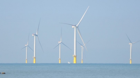 企業瘋綠電 國泰金投資長：不重視碳排，恐失國際資金及市場