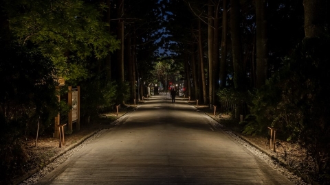 夜間植物園為穿梭行人打光 植光計畫植人都得益