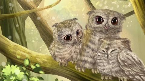 【生物多樣性的美好日常】猛禽？萌禽？認識都市綠地與人共存的領角鴞