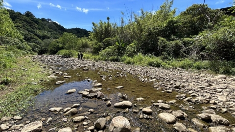  打掉混凝土堰體、鋪上天然石塊 重建遠望坑溪洄游魚兒回家之路