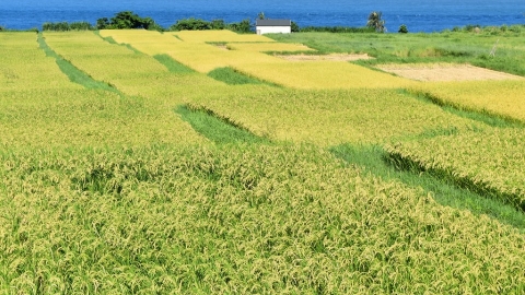 生態給付找回農田景觀 農民也能貢獻生物多樣性「國庫」