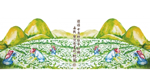 拾月厚蒔 銅鑼杭菊