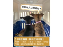 【台灣之心愛護動物協會】周末go go go--北區送養會